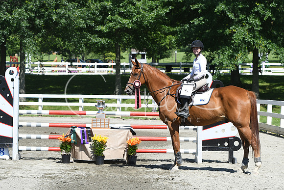HSM_3593