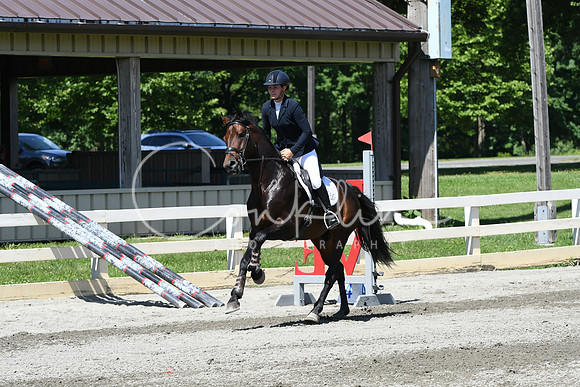 HSM_3611