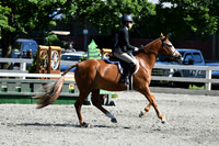 HSM_1752