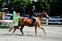 HSM_1753