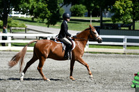 HSM_1803