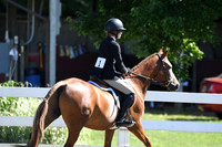 HSM_1805
