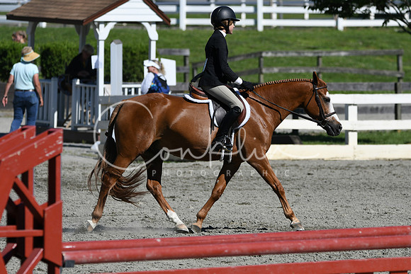 HSM_1819