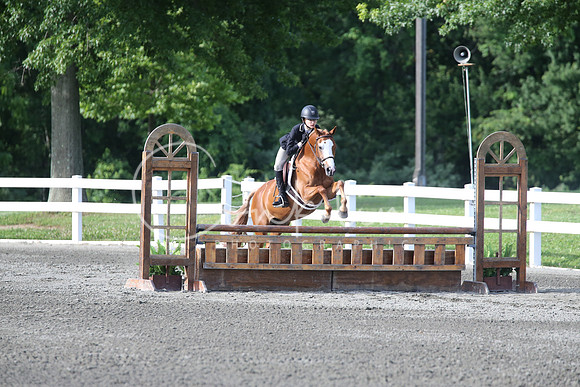 RJC17791