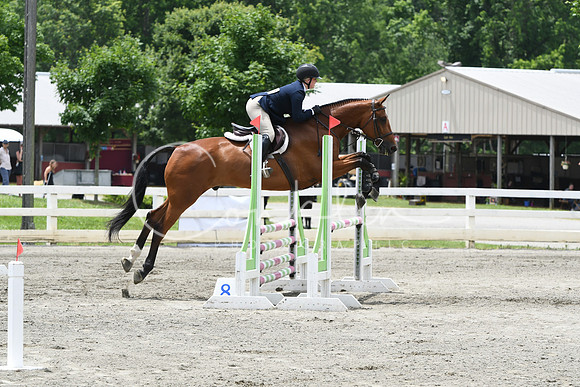 HSM_4801