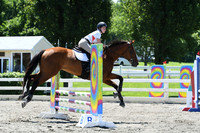 HSM_8931