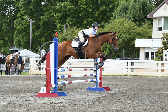 HSM_9524