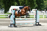 HSM_4530