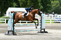 HSM_4531