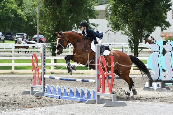HSM_4532