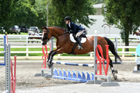 HSM_4533