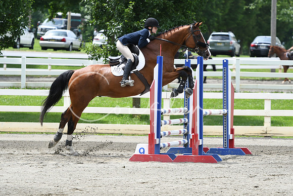 HSM_4535