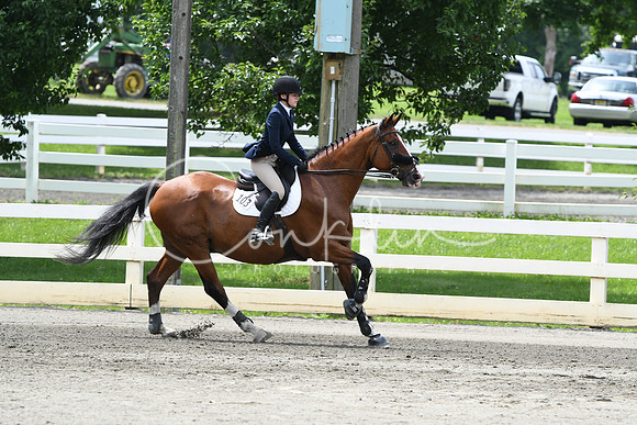 HSM_4547