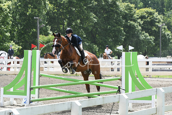 HSM_5331