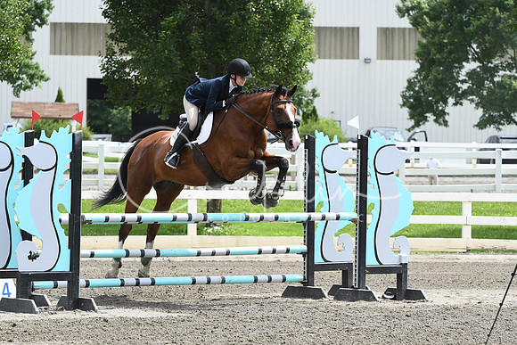 HSM_5336