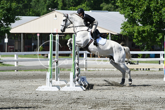 HSM_2288