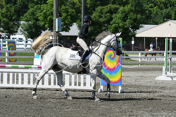 HSM_2291