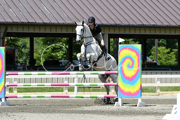 HSM_3319