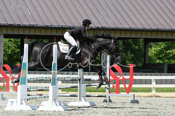 HSM_0028