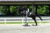 HSM_0029