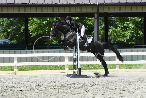 HSM_0029
