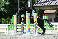 HSM_0031