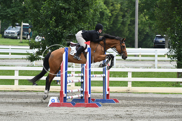 HSM_5291