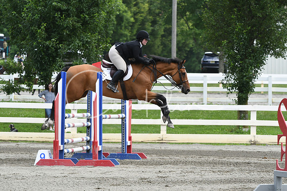 HSM_5292