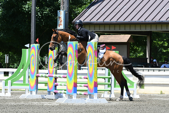HSM_9449