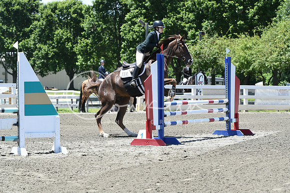 HSM_9417