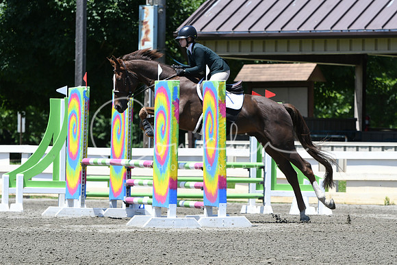 HSM_9423