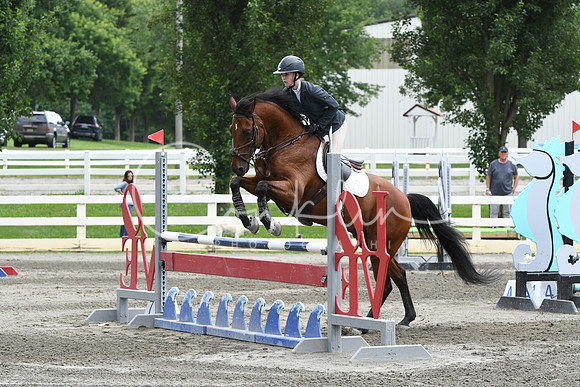 HSM_5311