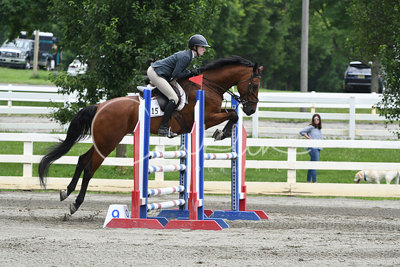 HSM_5317