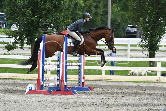 HSM_5318
