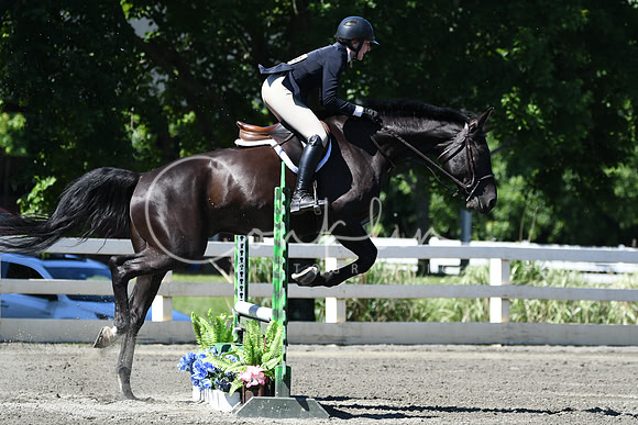 HSM_0744