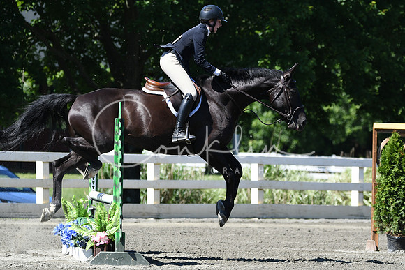 HSM_0745