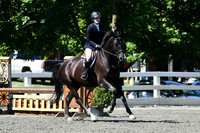 HSM_0753