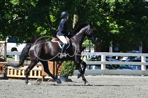 HSM_0767