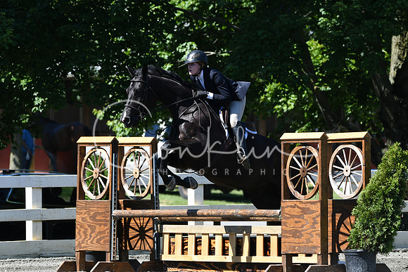 HSM_0769