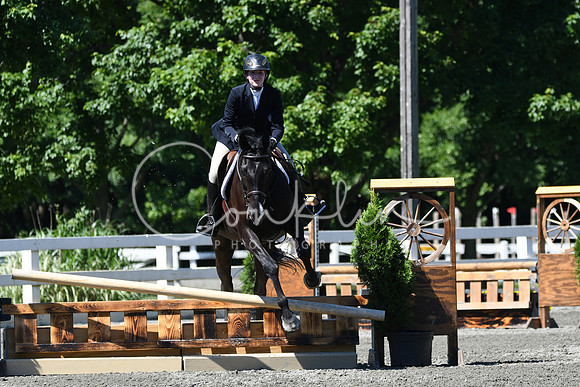 HSM_0794