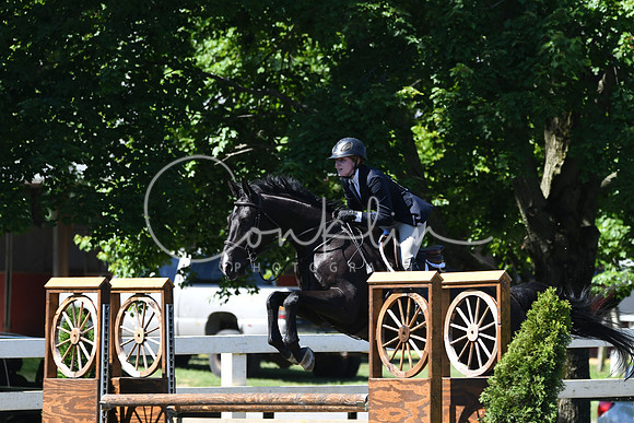 HSM_0797