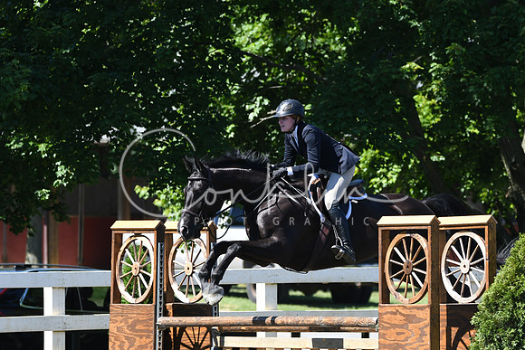 HSM_0798