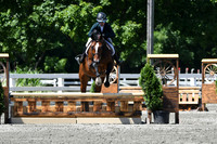 HSM_0886