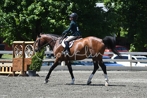 HSM_0913