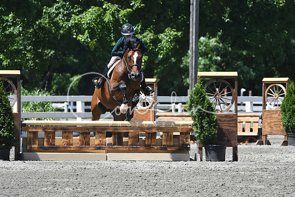 HSM_0921
