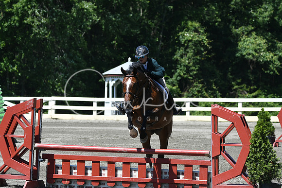 HSM_0929