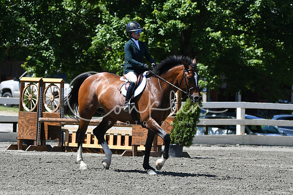 HSM_0931