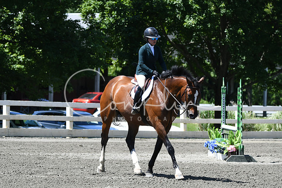 HSM_0934