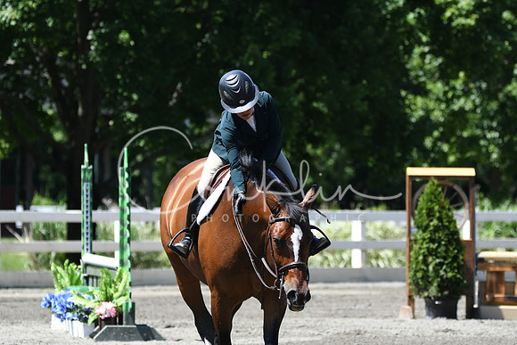 HSM_0936