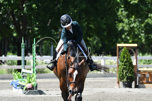 HSM_0937